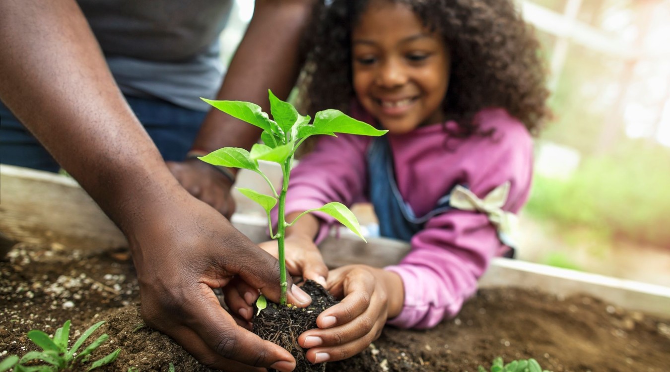 A father's hands guide a smiling little girl in planting a seedling in a garden.