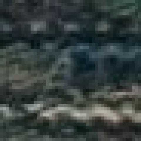 CSC CEO Lisa Williams-Taylor and Board Chair Thomas Bean stand in front of CSC's step-and-repeat sign with a Great Ideas Initiative recipient holding an oversized check during the October 2025 celebration.