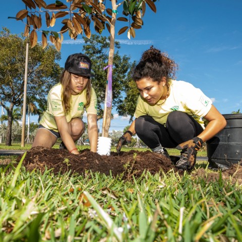 Two teen girls volunteer with CSC-funded Community Greening, planting trees in Palm Beach County neighborhoods.